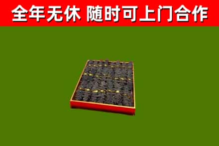 双柏县回收海参